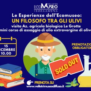 Un filosofo tra gli ulivi - Esperienza